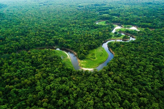  Grow Billion Trees: A Global Crusade Against Climate Change Led by Indian Army Veterans