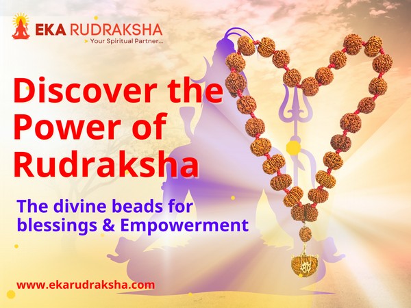  The Ultimate Source for Authentic Rudraksha is now Online | Discover www.ekarudraksha.com with 25 years of Expertise